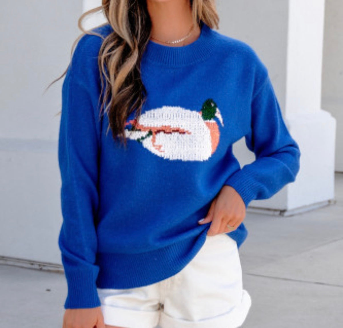 DRAKE BLUE SWEATER